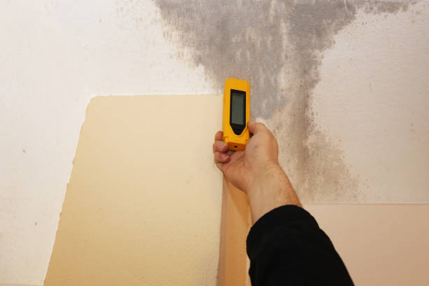 Best Mold Remediation for Healthcare Facilities  in Saugatuck, CT