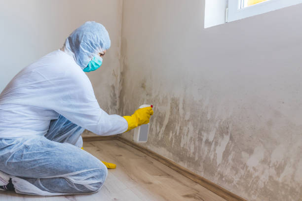 Asbestos and Lead Testing During Mold Inspection in Saugatuck, CT
