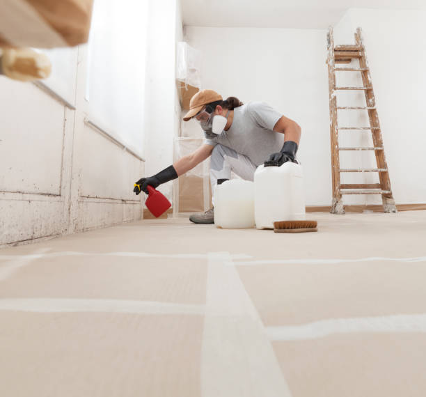 Reliable Saugatuck, CT Mold Removal Solutions